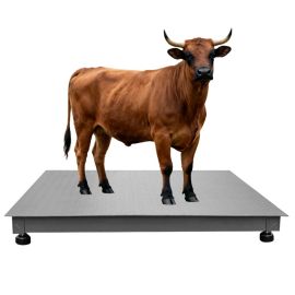 Animal Weighing Scale Dealers