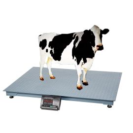  achieve accurate and efficient animal scales