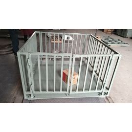 Cattle Scale Supplier Uganda