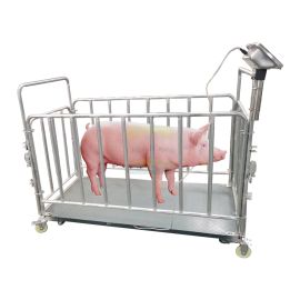 Livestock Scale Supplier Kampala