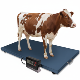 Livestock Weighing Scales – Uganda