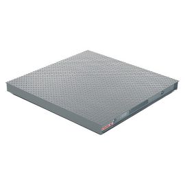 leading company supplier of floor scales 